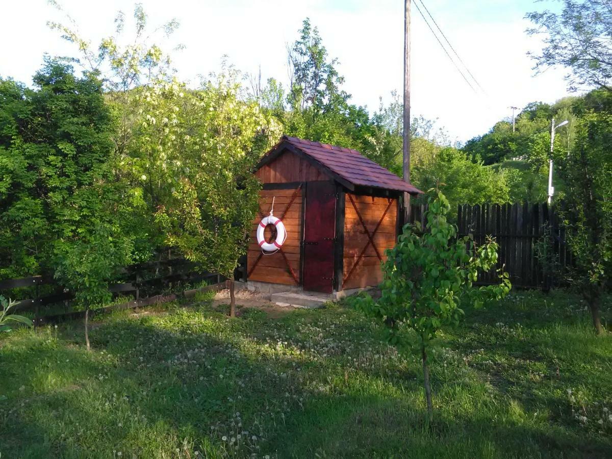 Carobni Breg Villa Golubac Ngoại thất bức ảnh