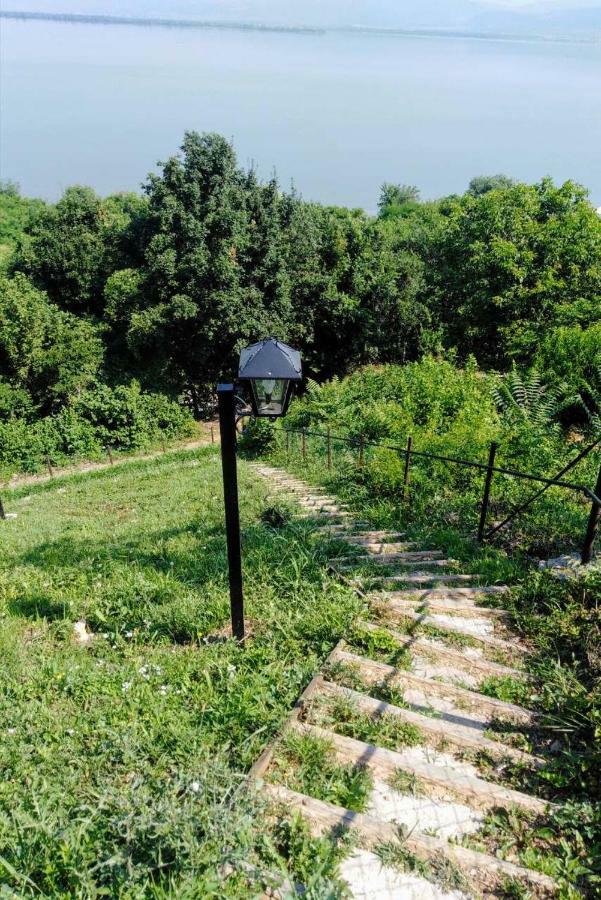 Carobni Breg Villa Golubac Ngoại thất bức ảnh
